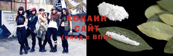гашик Каменка