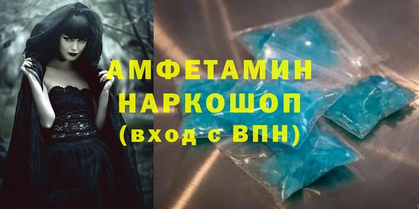 гашик Каменка
