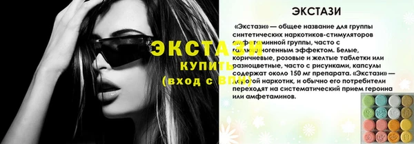 гашик Каменка