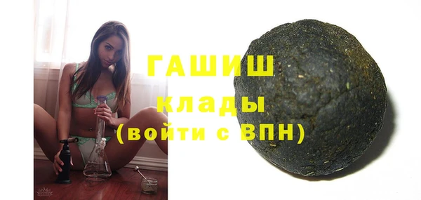гашик Каменка