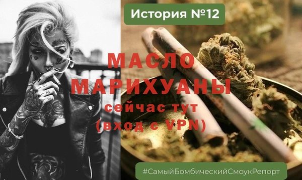 гашик Каменка