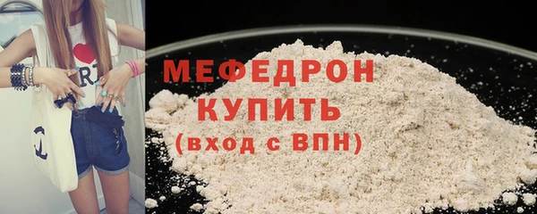 гашик Каменка