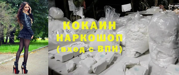 гашик Каменка