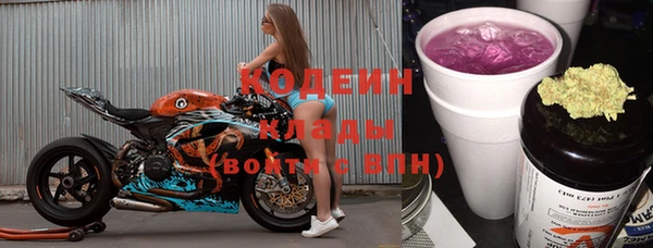 гашик Каменка