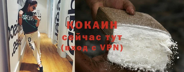 гашик Каменка