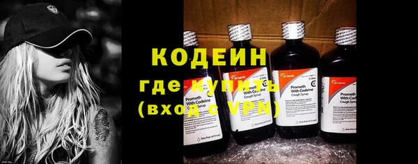 гашик Каменка